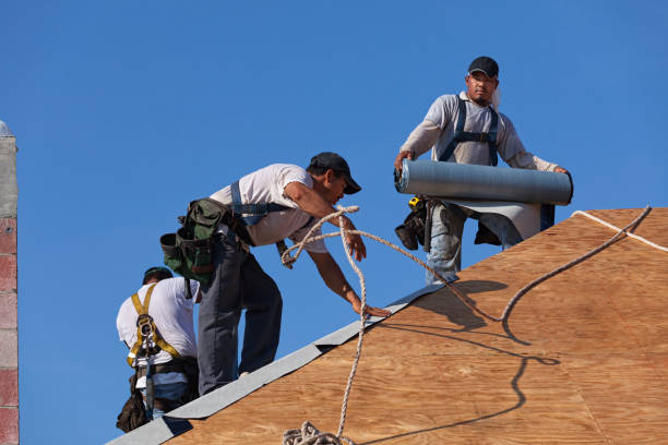 Best Gutter Installation and Roofing  in Hemlock Farms, PA